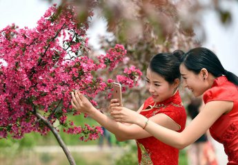 南京：模特走秀農家海棠園