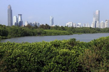 深圳积极构建海洋生态文明城市