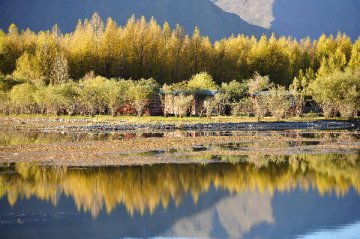 分析报告：西藏:对接＂一带一路＂着力打造旅游产业