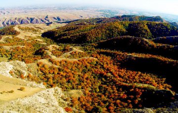 新疆地質找礦60年 8種礦產資源儲量居全國首位