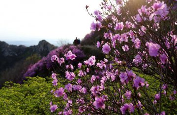 5月11日四大证券报头版内容精华摘要