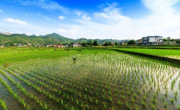 5月17日操盤必讀：影響市場的重要資訊