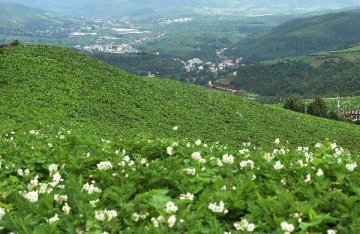 7月13日沪深两市上市公司最新交易提示