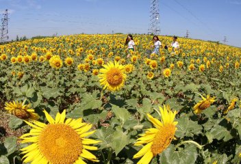 8月18日操盘必读：影响市场的重要信息