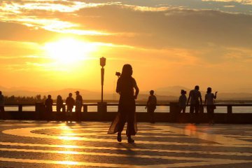 8月26日四大证券报头版内容精华摘要