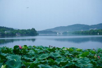 9月7日操盘必读：影响市场的重要信息