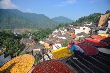 9月8日操盘必读：影响市场的重要信息