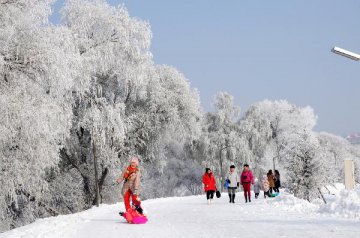 11月14日操盘必读：影响市场的重要信息