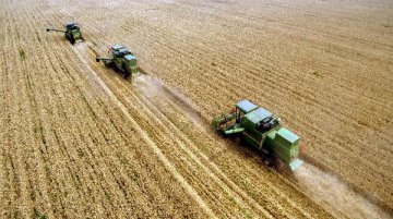 農業供給側改革明年加速推進 或成“一號文件”主線