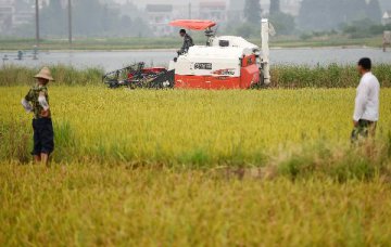 中央農村工作會議在京召開 深入推進農業供給側改革