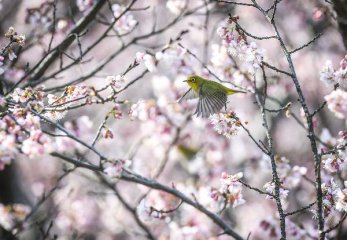 3月2日四大证券报头版内容精华摘要