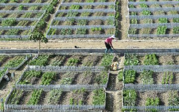 黑龙江打造＂大数据+现代农业＂发展新模式