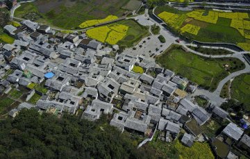 独特的屯堡古建筑村落——贵州本寨古村