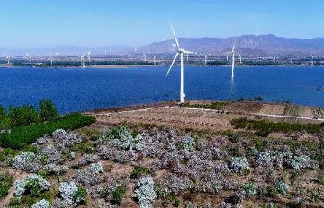 2016年中国风电装机容量全球第一 走出去尚需时日