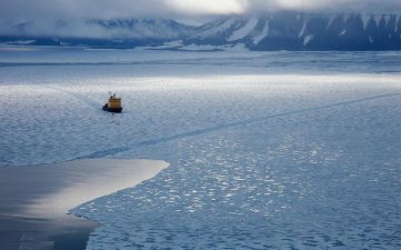 美学者：北冰洋经济圈将受益于中国“一带一路”倡议