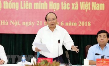 越南政府總理要求加大《合作社法》實施力度