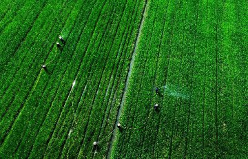 ​國務院批復進一步支持楊淩農業高新技術產業示範區發展若干政策
