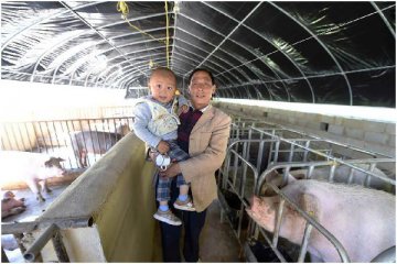 中国21个省份非洲猪瘟疫区解除封锁