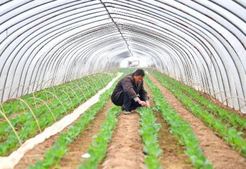 江西:＂億元投資＂帶來農業發展新氣象