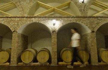 世界葡萄酒专家相聚宁夏共鉴＂一带一路＂沿线美酒