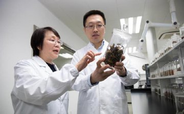 中國原創新藥為阿爾茨海默症治療提供新方案