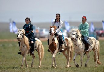 ＂中国白马之乡＂乌珠穆沁白马已逾6000匹